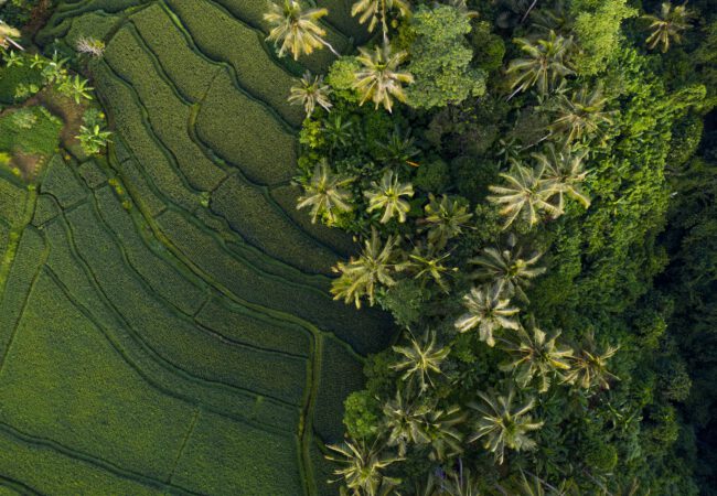 The 14 Most Relaxing Places in the World